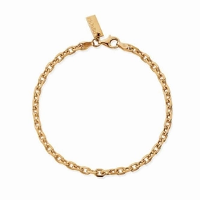 Men's Gold Anchor Chain Bracelet GBANCHORM