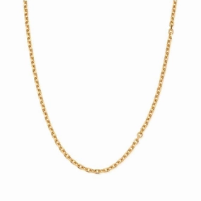 Men's Gold Anchor Chain Necklace GNANCHORM