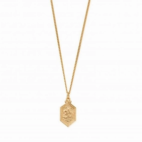 Men's Gold Curb Chain Om Necklace GNCC2759M