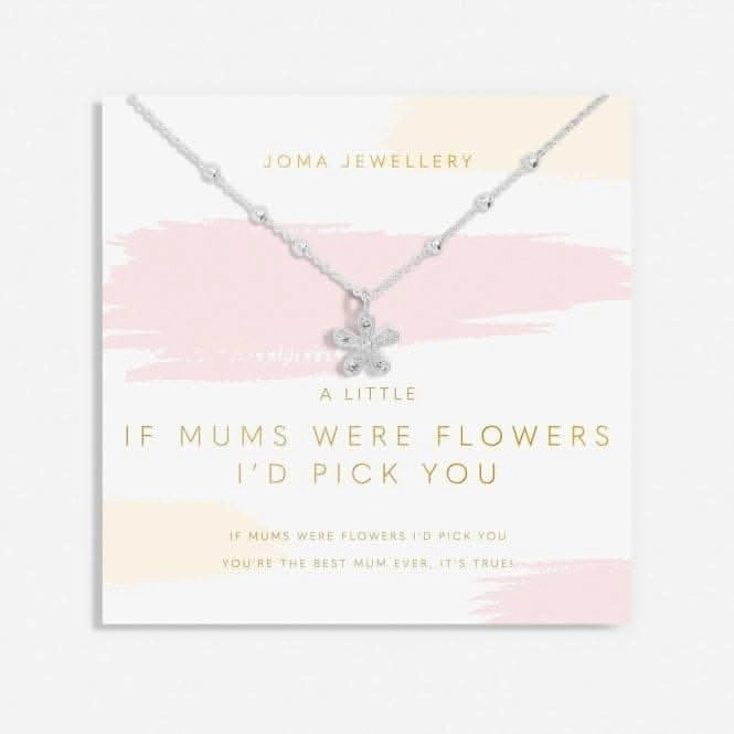 Mother's Day A Little If Mum's Were Flowers I'd Pick You Silver Plated Necklace 6928