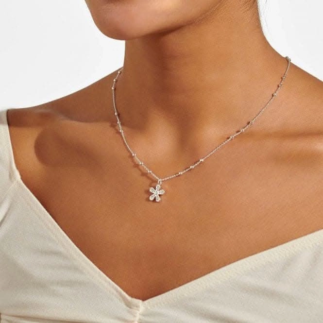 Mother's Day A Little If Mum's Were Flowers I'd Pick You Silver Plated Necklace 6928