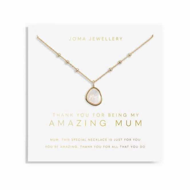 My Moments 'Thank You For Being My Amazing Mum' Necklace 5754