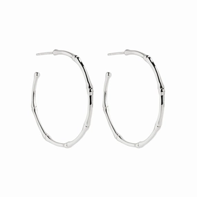 Najo - Bamboo Large Stud Hoop Earring