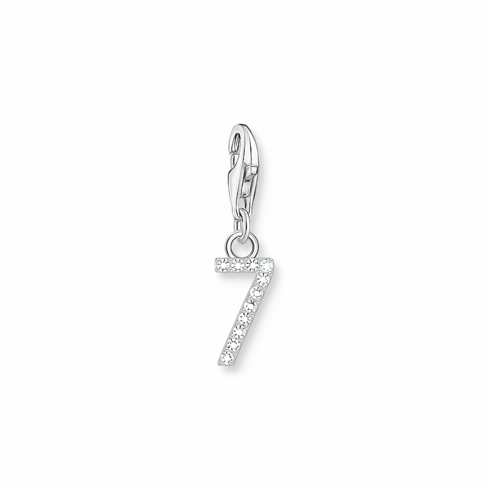 Number 7 silver charm