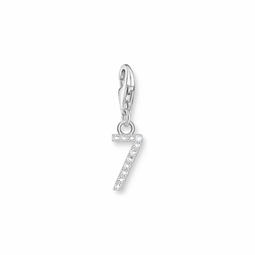 Number 7 silver charm