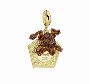 Official Harry Potter Sterling Silver Chocolate Frog Embellished Slider Charm