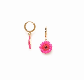 RUBY pink gerbera flower mini creole