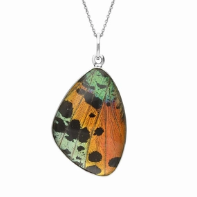 Sterling Silver Crystal Butterfly Wing Necklace