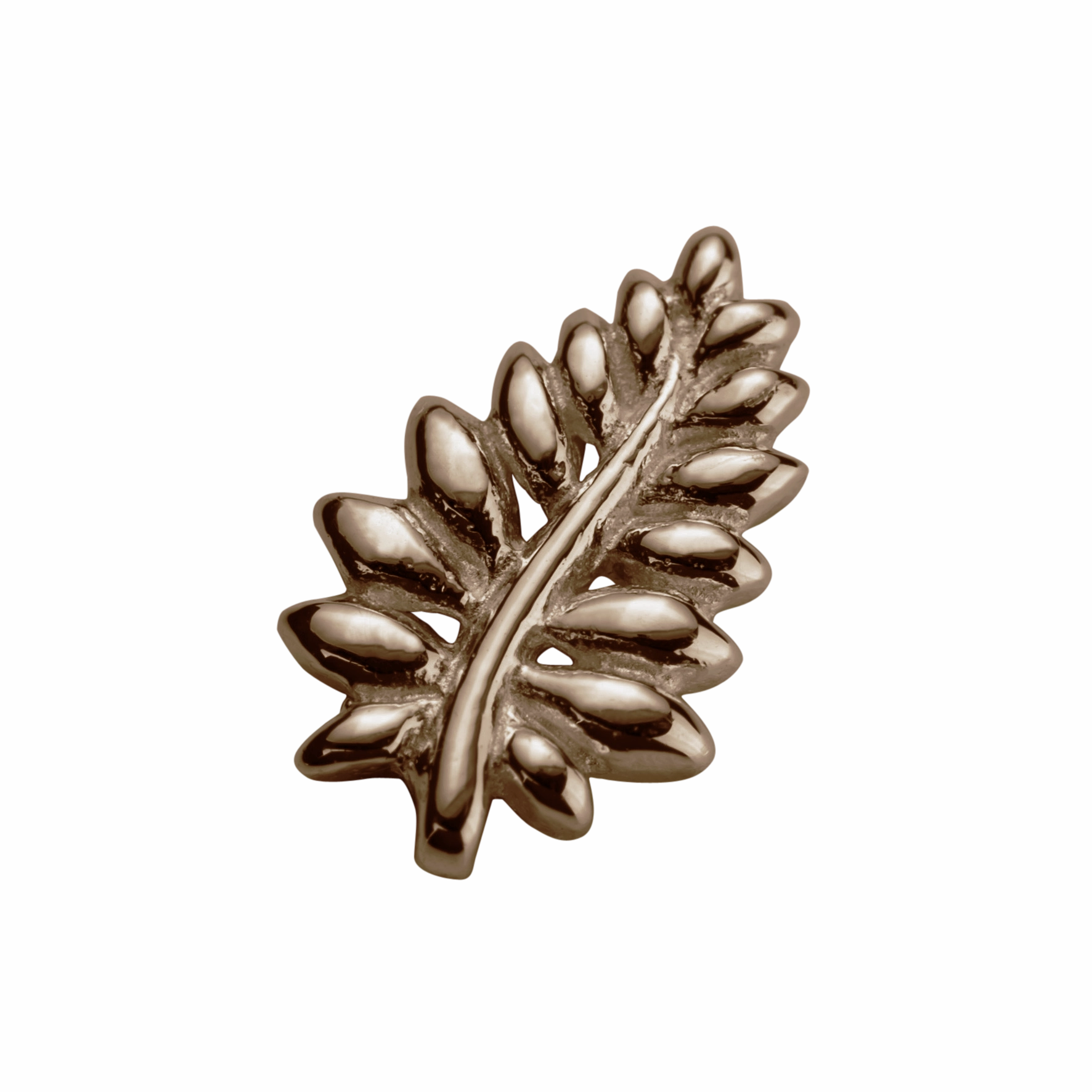 STOW NZ Fern (Loyal) Charm - 9ct Rose Gold