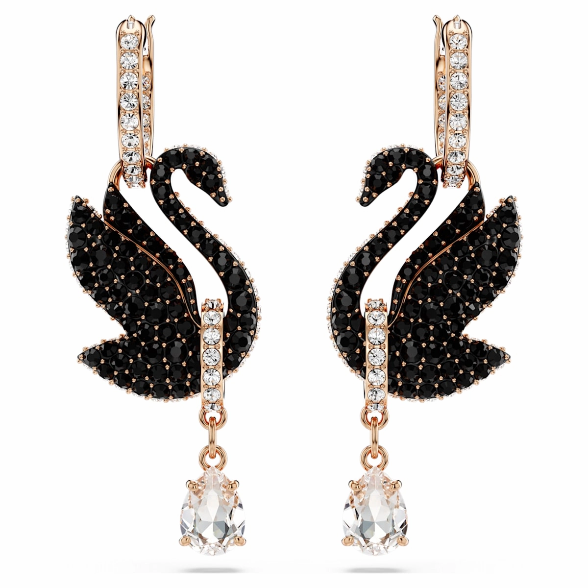 Swarovski Black Swan Drop Rosegold Earrings