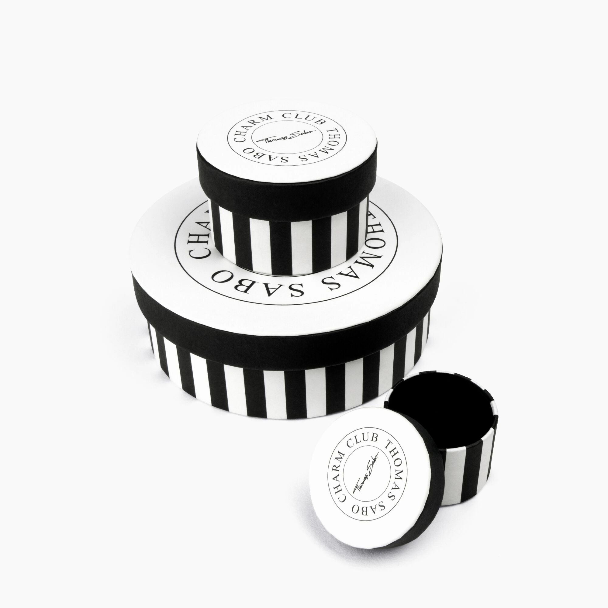 Thomas Sabo Zodiac Sign Aquarius Pendant Charm