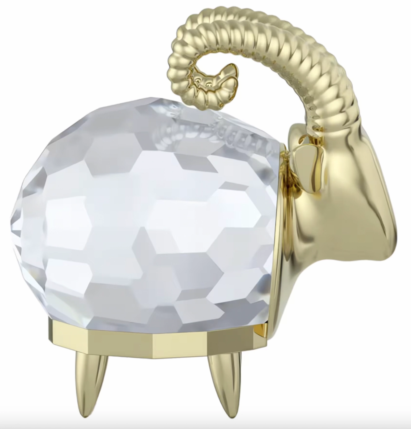 Zodiac: Capricorn
